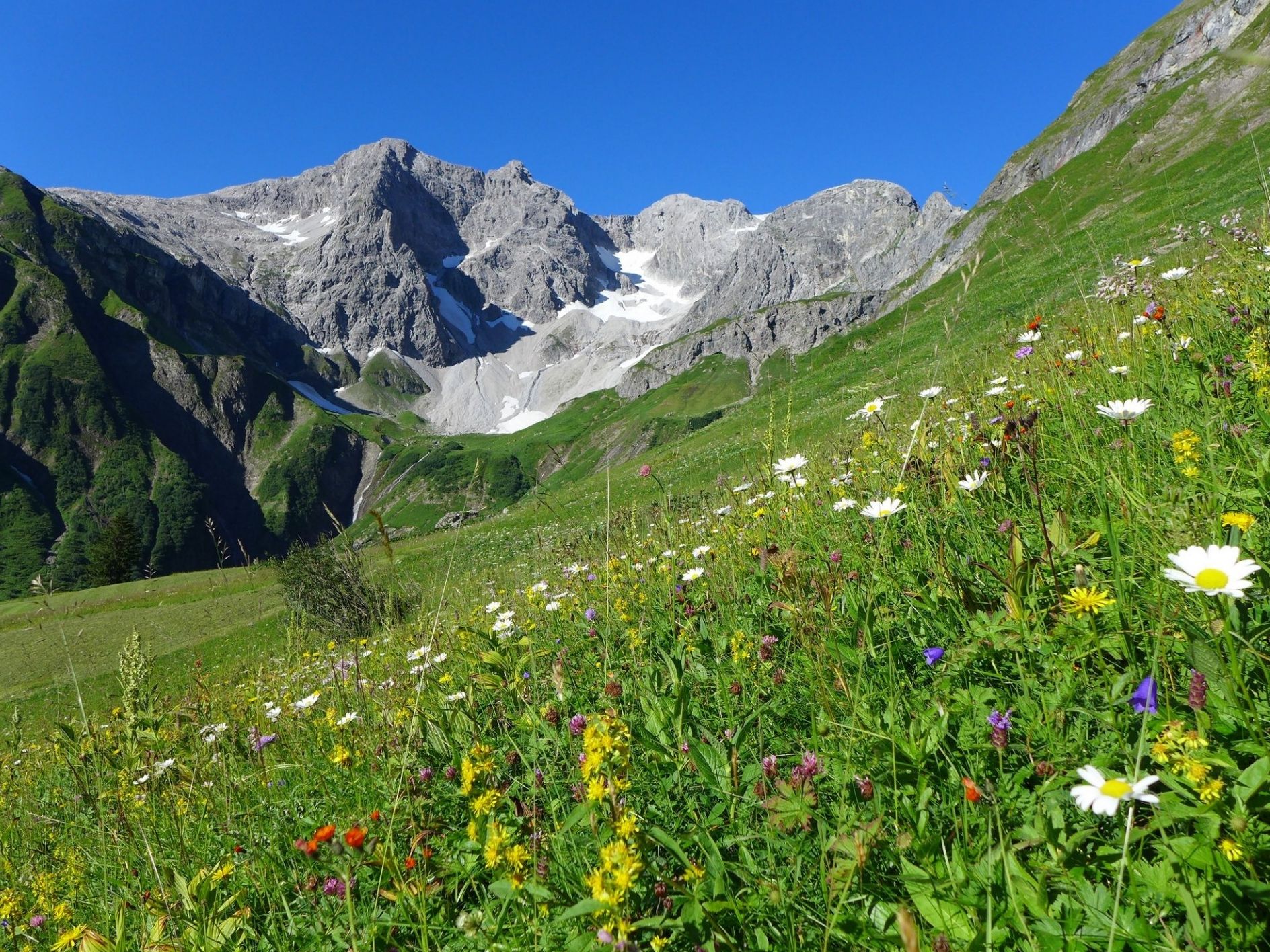 Alpen-Retreat: Deine spirituelle Auszeit und Kurzurlaub